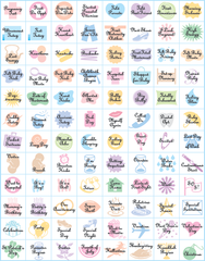 Pregnancy Stickers